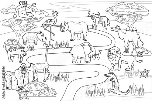 Jungle, Africa safari animals coloring book edicational illustration for children. Set cute lion, crocodile, monkey, elephant, camel, rhinoceros, gorilla, hyppo. Vector white black cartoon outline