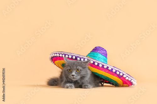 Cute cat with sombrero on c...