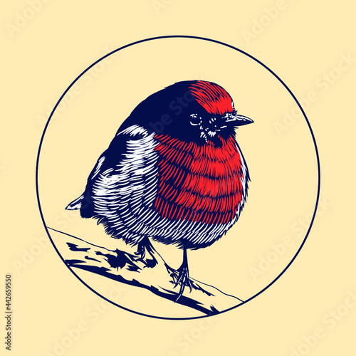 Red Robin Bird Engraving Line art Illustration