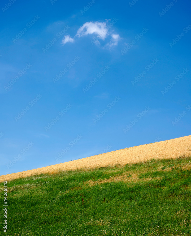 Fototapeta premium cisa