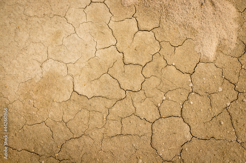 Cracked and dry soil background