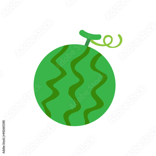 Fresh watermelon on a white background.