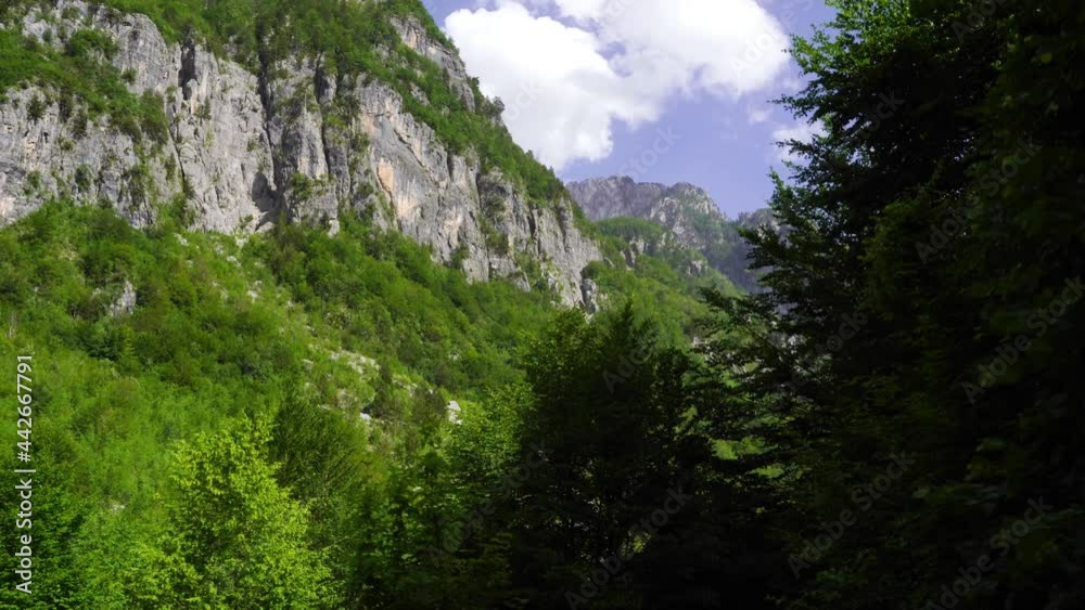 Hiking through green forest trees on the bottom of high mountains in Albanian Alps Hiking through green forest trees on the bottom of high mountains in Albanian Alps