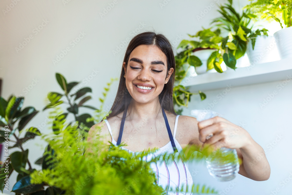 Young woman misting a houseplant with a spray bottle. Joyful young woman enjoys her time at home and watering her plant by the window at home. Young woman misting a houseplant with a spray bottle. Joyful young woman enjoys her time at home and watering her plant by the window at home.