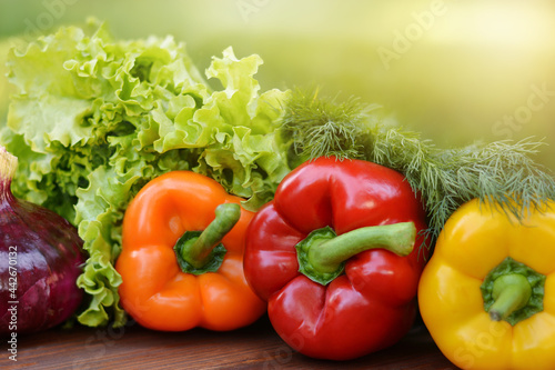 Colorful sweet bell peppers, salad, dill, onion on wooden background.Healthy vegetarian food.Vegetarian eating concept. Copy space for text