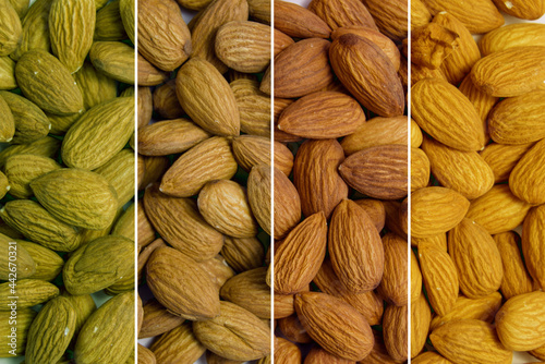 a collage of images of almonds of different shades