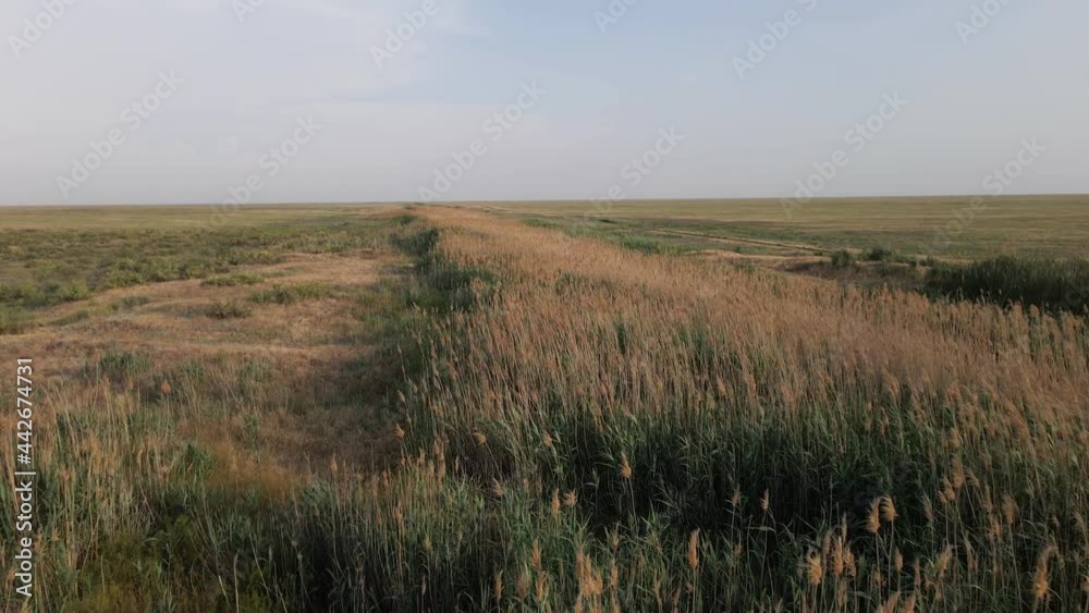 Horizonless Plain with Grass and Shrubs in Kalmykia, Russia. Aerial View Horizonless Plain with Grass and Shrubs in Kalmykia, Russia. Aerial View