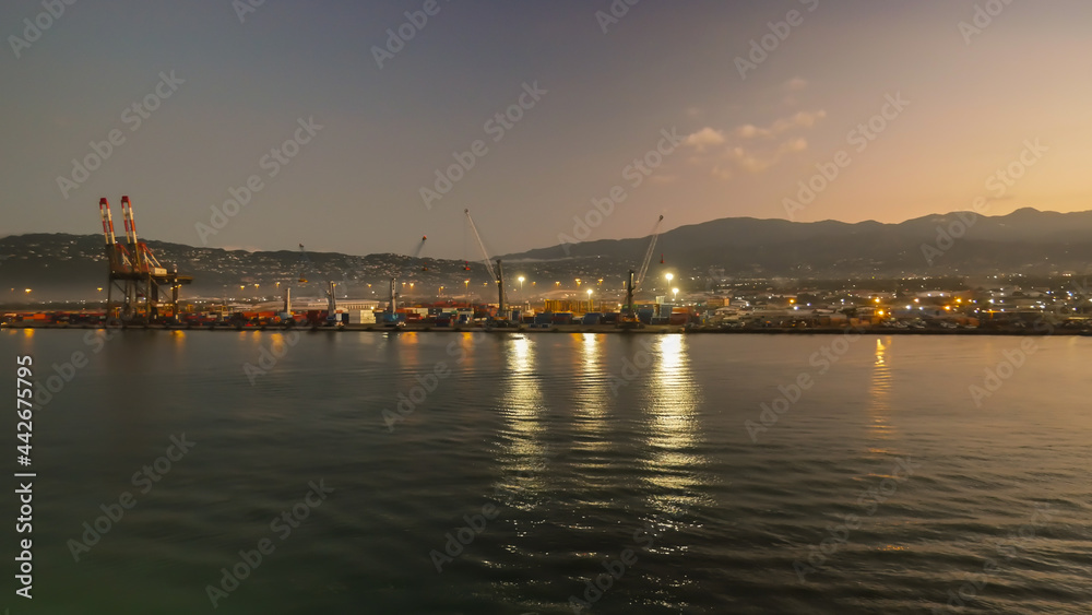 View of the container terminal with gantry and mobile cranes during sunrise