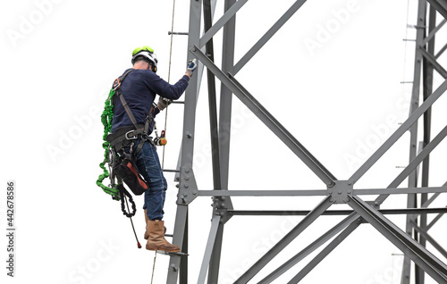 Electrician is working on a pole © michaklootwijk