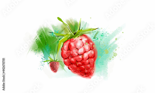 Mature raspberry close-up on an abstract background