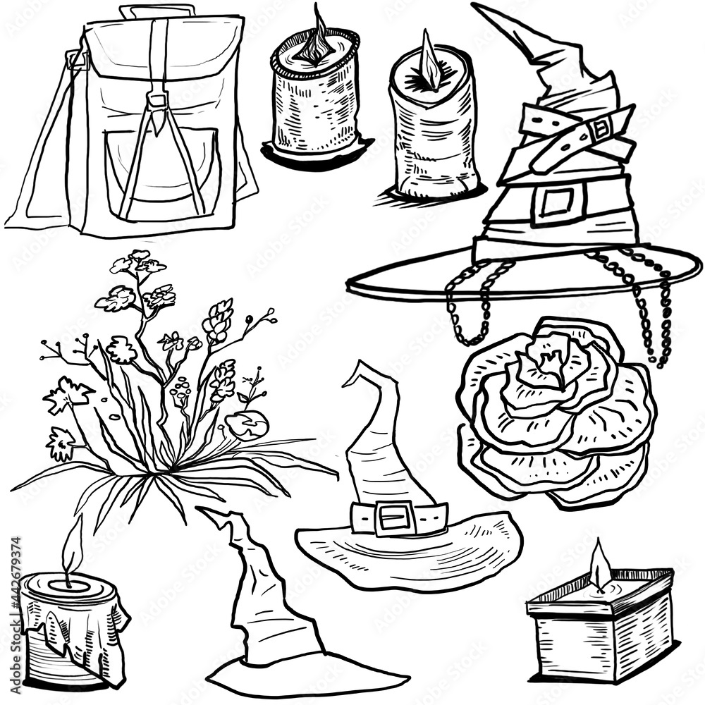 Obraz premium witch set line art drawing skull, hat, rose, eye. bag, candles. Design for halloween pattern elements engraving style, black and white graphics mystical theme