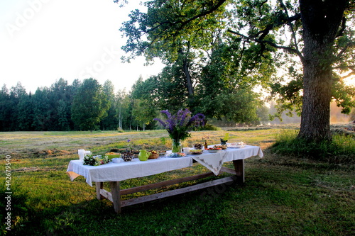 Midsummer food table.Table filled with drinks and food outside in the garden under the trees. on the table a glass vase with blue meadow flowers. Latvian LIGO festive