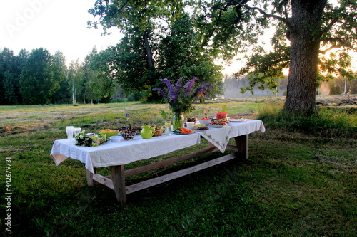 Midsummer food table.Table filled with drinks and food outside in the garden under the trees. on the table a glass vase with blue meadow flowers. Latvian LIGO festive