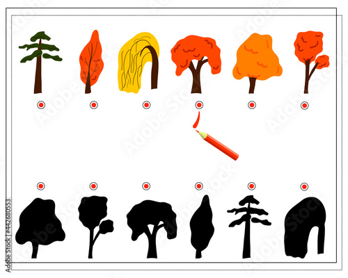 A logical game for children, find the right shade for the trees. Autumn, pine, willow, linden. Vector