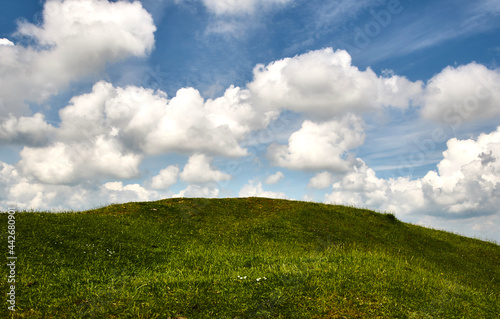 field and blue sky