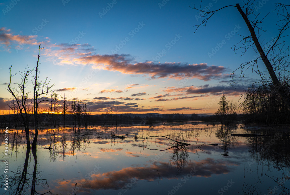 Morgenstimmung bei Sonnenaufgang an einem See im Naturschutzgebiet