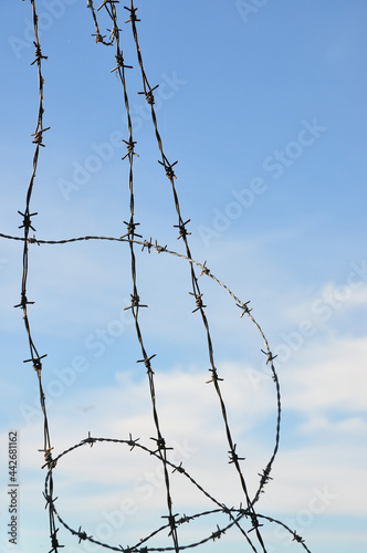 Closeup of barbed wire againstt blue sky