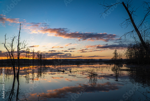 Morgenstimmung bei Sonnenaufgang an einem See im Naturschutzgebiet