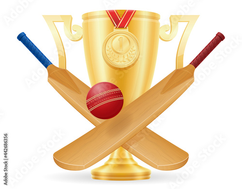 bat for playing cricket sport vector illustration