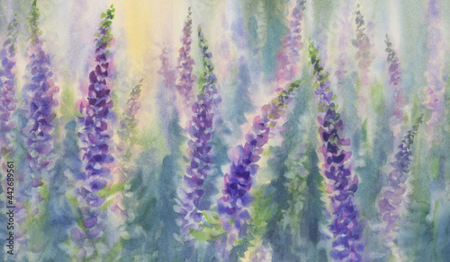 Pink and violet lupine flowers watercolor background