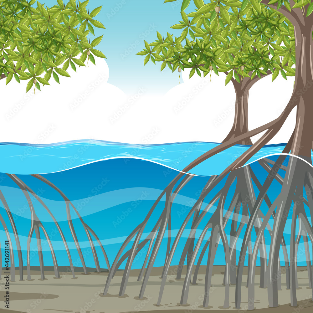 Nature scene with mangrove trees in the water