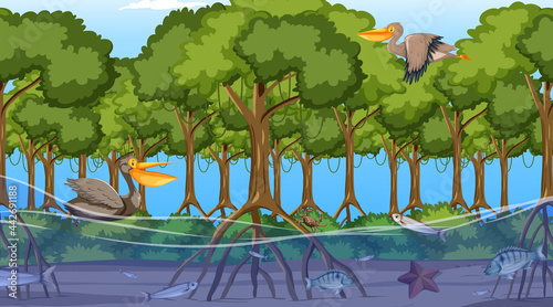 Animals live in Mangrove forest at daytime scene