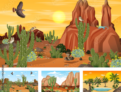 Four different desert forest landscape scenes with animals and plants