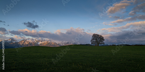 Die Allgäuer Alpen an einem Frühlingsmorgen