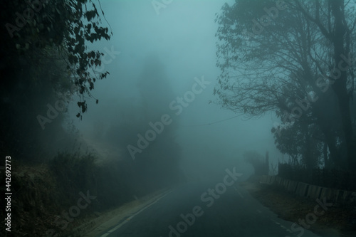 Foggy afternoon, Darjeeling, West Bengal, India