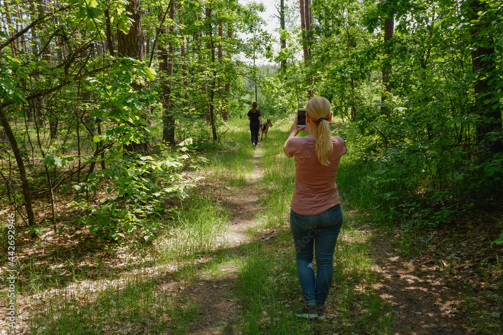 A young blonde woman in casual clothes on a walk in the woods makes a selfie on the phone. View from the back.