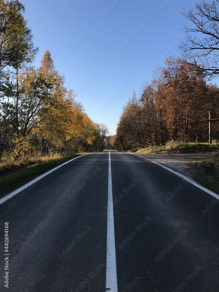 Autumn Autumn