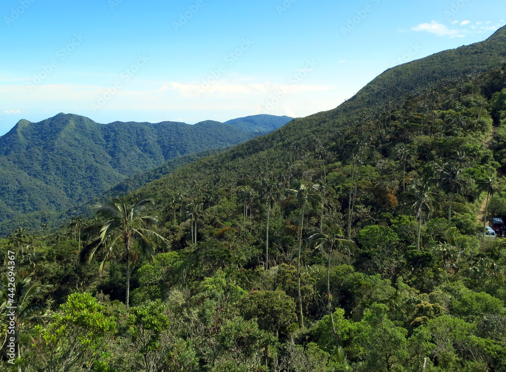 San Lorenzo ridge; El Dorado Bird reserve, Sierra Nevada, Santa Marta Mountains, Colombia