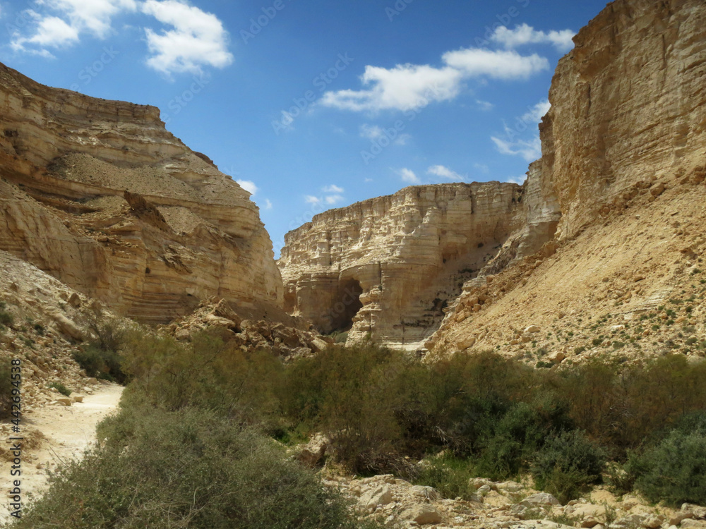 Fototapeta premium Wadi Ein Avdat, Israel