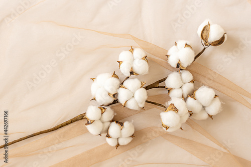 Decorative cotton branch with buds on white and light brown tulle fabric