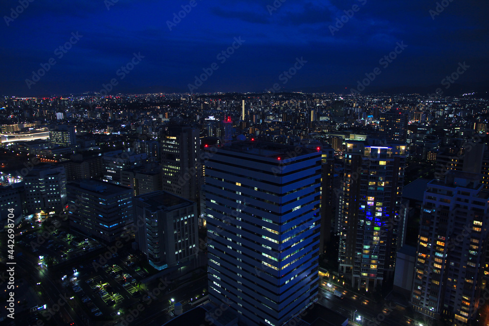 Night View of Fukuoka, Japan