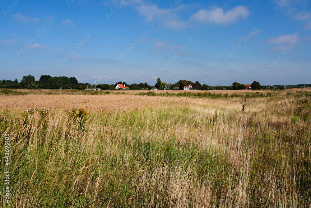 Fototapeta premium Landscape at Lentevreugd