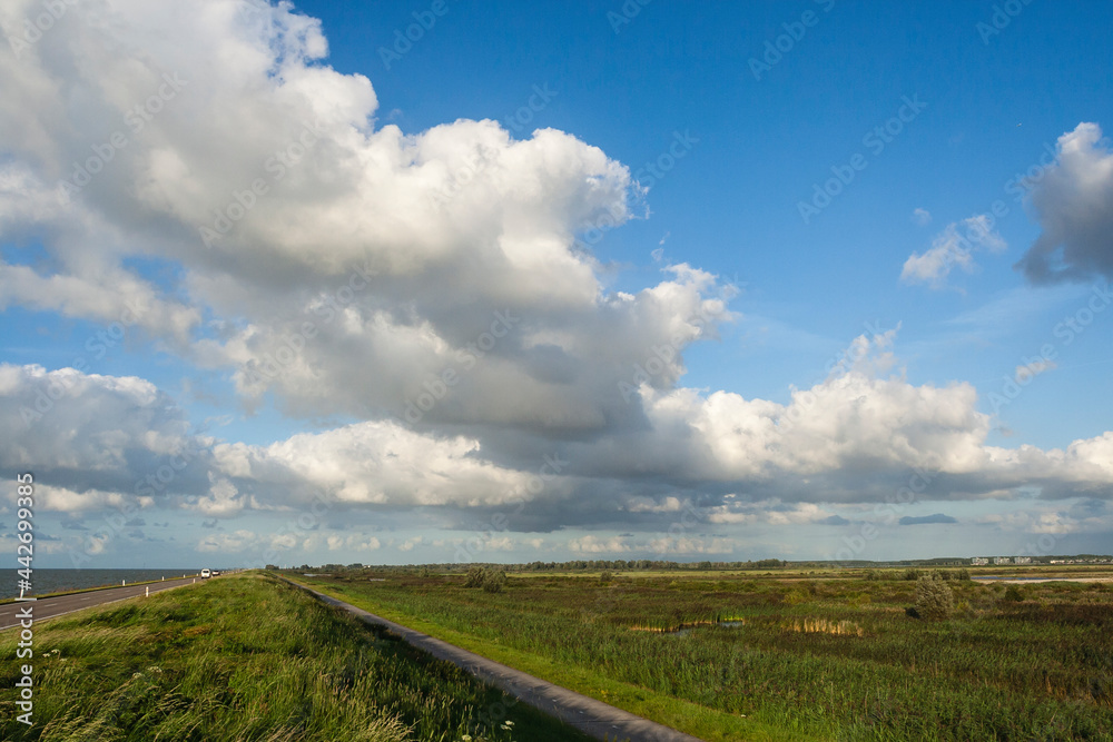 Uitzicht langs Oostvaardersdijk, Overview along Oostvaardersdijk