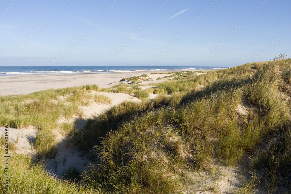 Strand op Vlieland, Beach at Vlieland