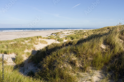 Strand op Vlieland, Beach at Vlieland photo