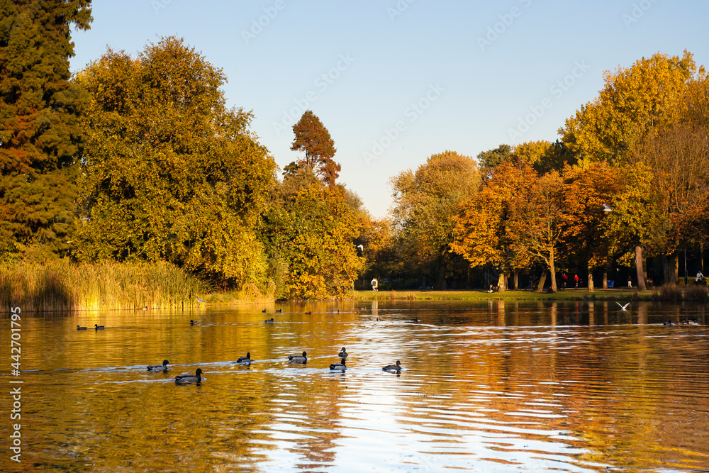 Vondelpark in Amsterdam