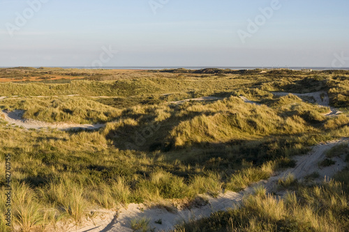 Obraz na płótnie Duinen op Vlieland, Dunes at Vlieland w salonie