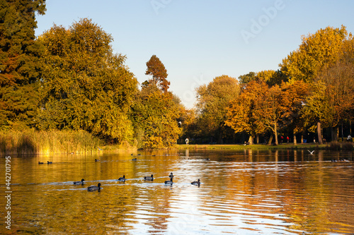 Obraz na płótnie Vondelpark in Amsterdam w salonie