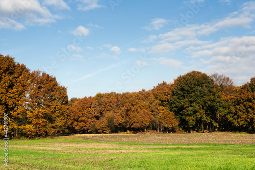 Herfst in Het Gooi, Het Gooi in autumn