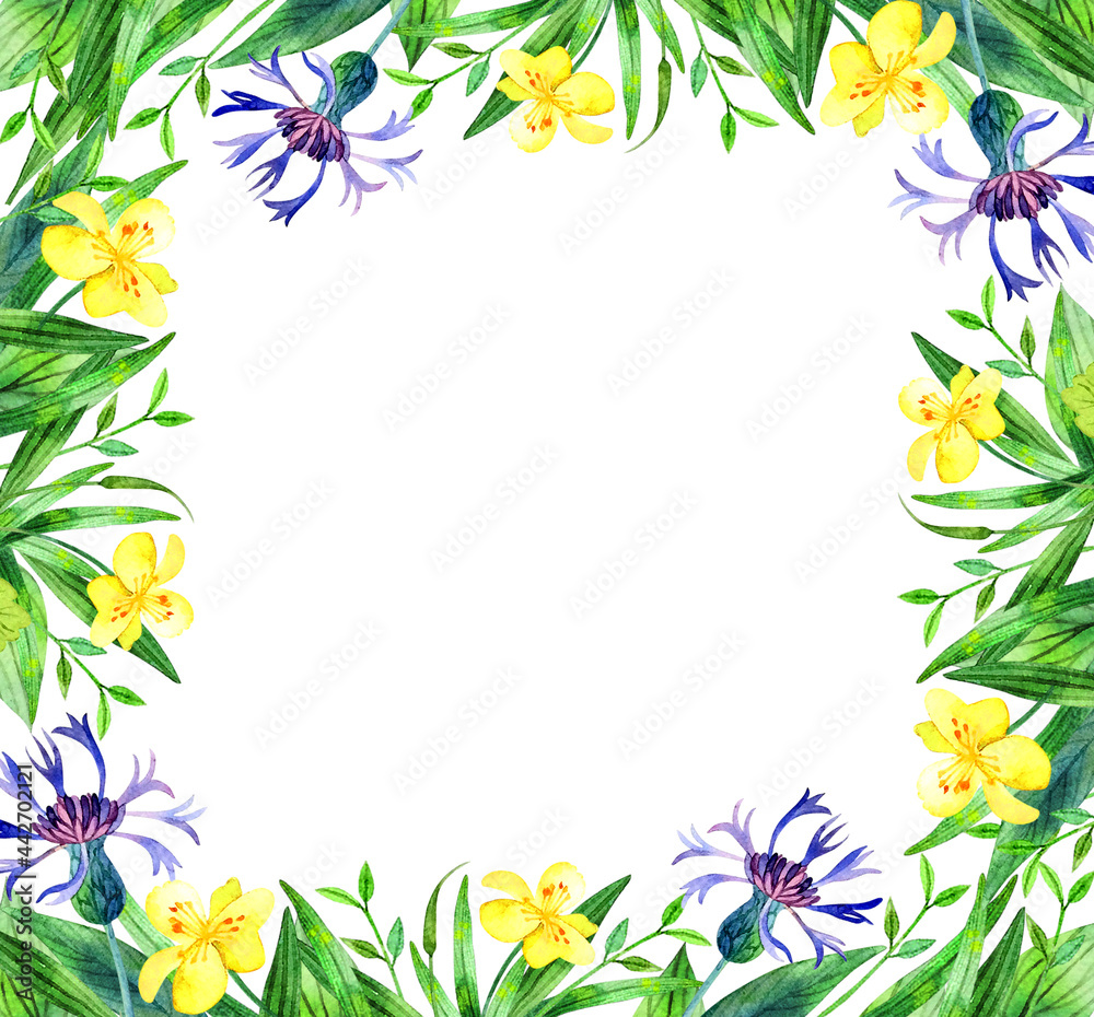 A set of natural elements - leaves, flowers, herbs, hand-painted in watercolor. The greenery of the garden and forest, painted in watercolor, is isolated on a white background
