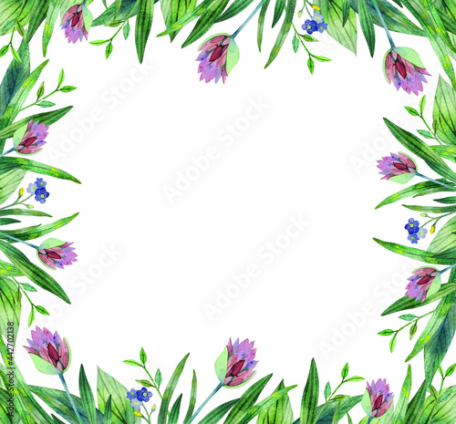 A set of natural elements - leaves  flowers  herbs  hand-painted in watercolor. The greenery of the garden and forest  painted in watercolor  is isolated on a white background