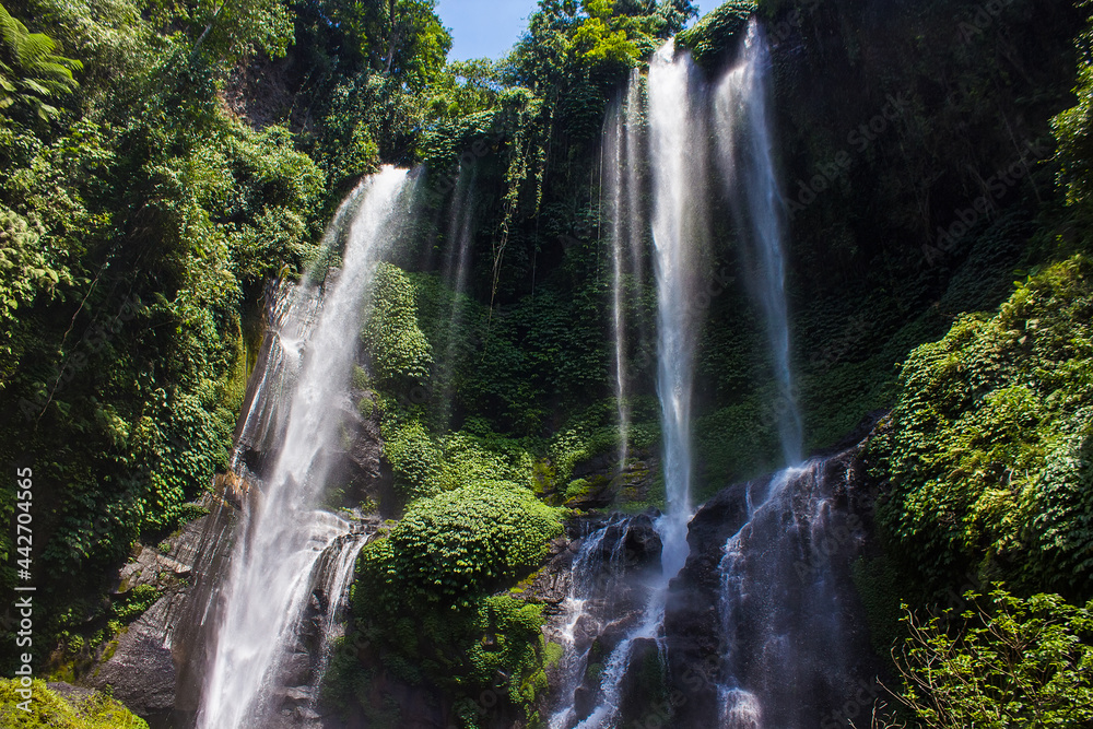 Fototapeta premium Hidden in jungles beautiful Sekumpul waterfall. The highest waterfall in Bali surrounded by exotic green rainforest. Indonesia. Travel concept.