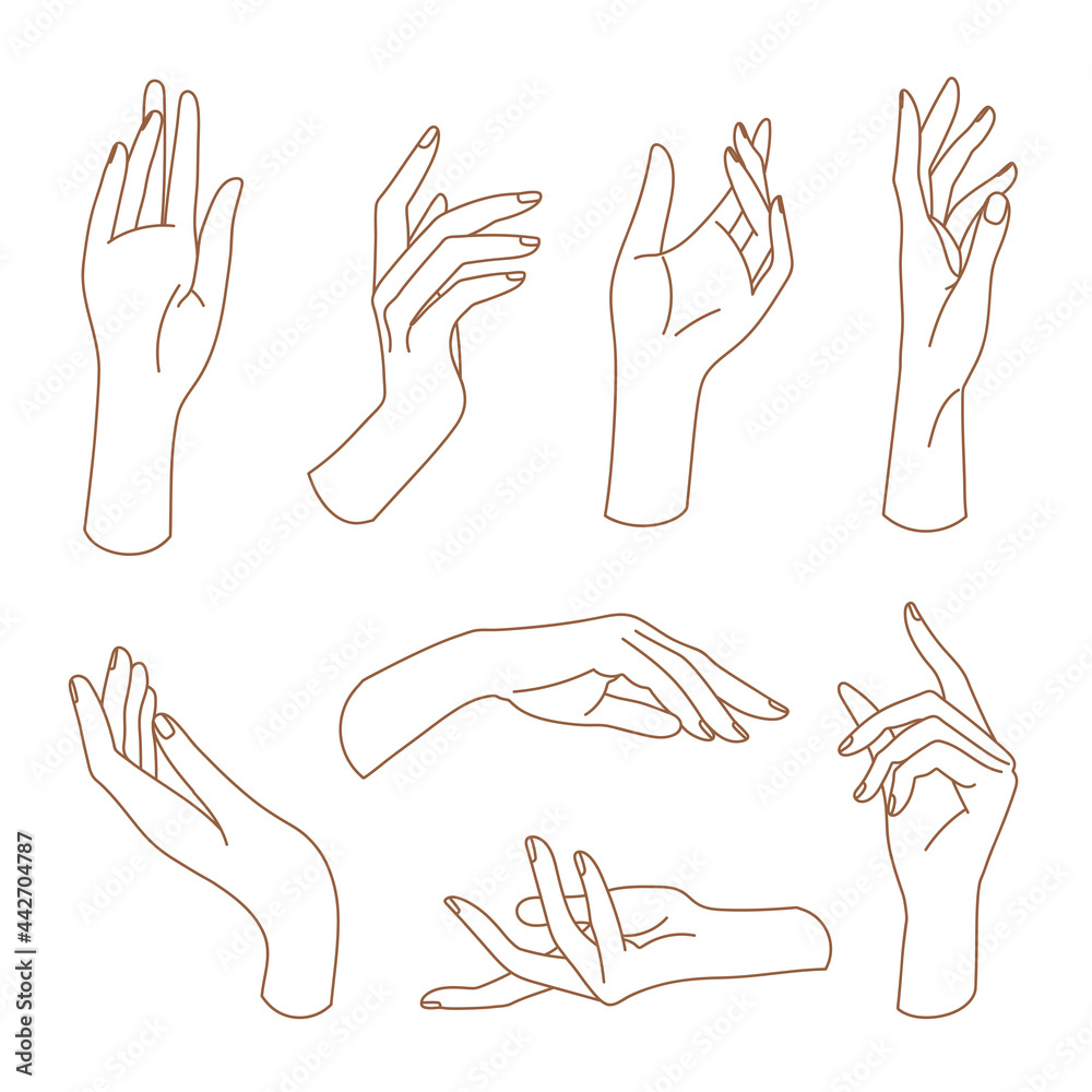 Set of delicate women's hand in trendy linear style. Female hands in various gestures. Vector linear boho icon illustrations. Branding. Set of delicate women's hand in trendy linear style. Female hands in various gestures. Vector linear boho icon illustrations. Branding.