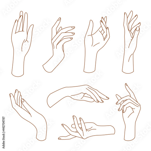 Set of delicate women's hand in trendy linear style. Female hands in various gestures. Vector linear boho icon illustrations. Branding.