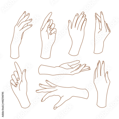 Set of delicate women's hand in trendy linear style. Female hands in various gestures. Vector linear boho icon illustrations. Branding.