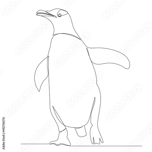 penguin drawing by one continuous line sketch, isolated, vector